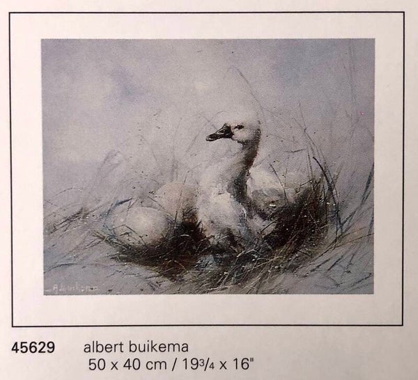 Verkerke A. Buikema	Painting Ente 50 x 40 cm Poster 90er Jahre Art