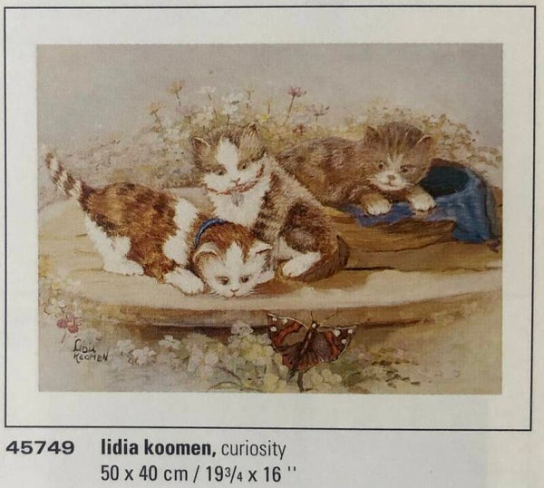 Verkerke Lidia Koomen	Curiosity Kunstdruck 80 x 60 cm Poster  90er Jahre Art