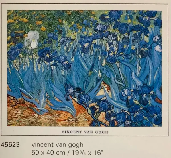 Verkerke Vincent van Gogh: Irises Kunstdruck 50 x 40 cm Poster 90er Jahre Art