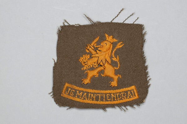 je maintedrain mouwleeuw