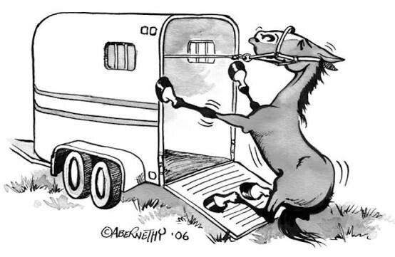 Paard trailerladen trailer niet in gedrag probleem