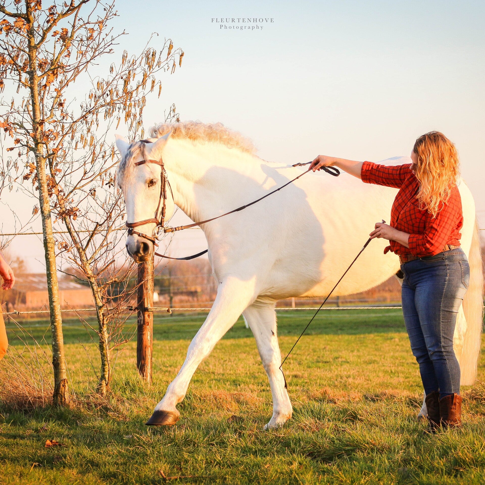 natural horsemanship gedragstraining gedrag paard begeleiding probleempaard