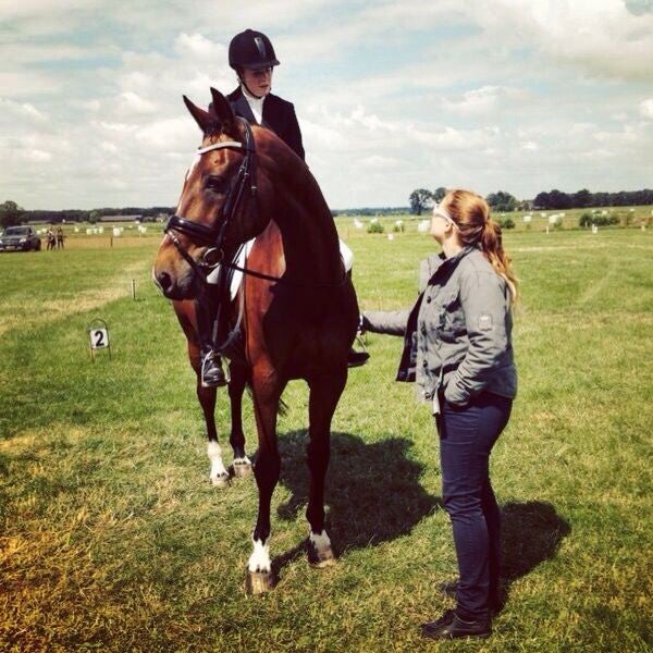 coaching paard met probleemgedrag hulp hij onhandelbaar paard