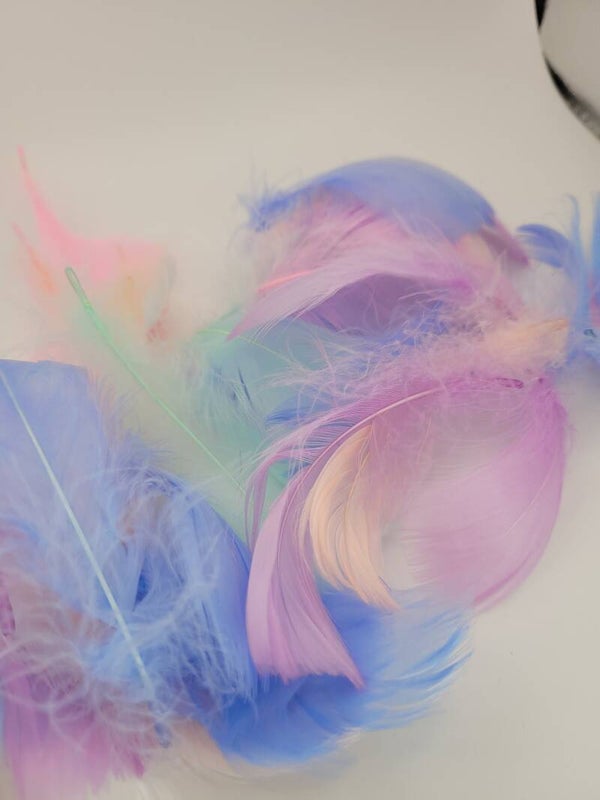 Donsveren - mooie veren met vrolijke kleurtjes