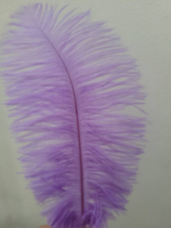 Veer groot - paars