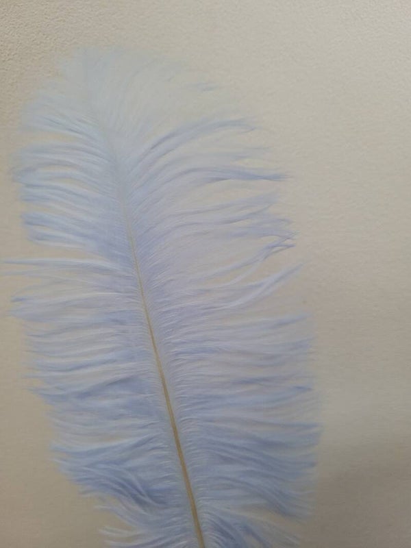 Veer groot - licht blauw