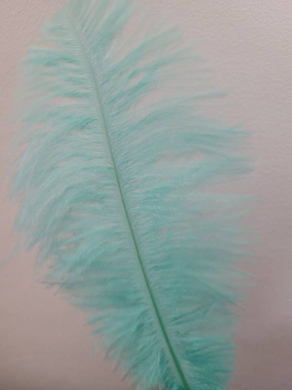 Veer groot - mint groen