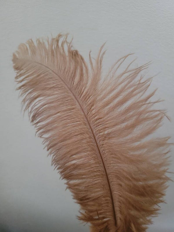 Veer groot - bruin