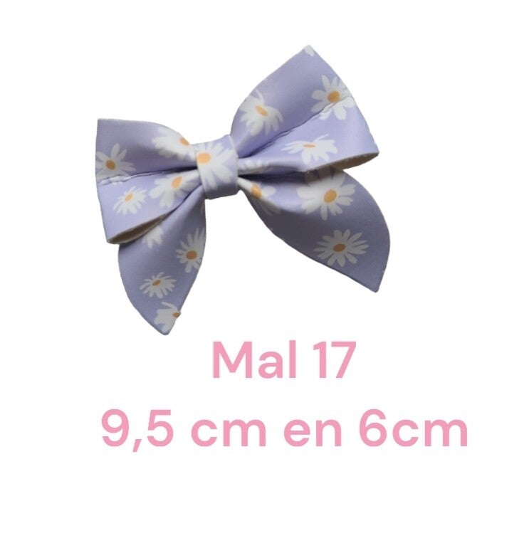 Mal 17 - 9,5cm en 6cm