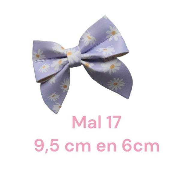 Mal 17 - 9,5cm en 6cm
