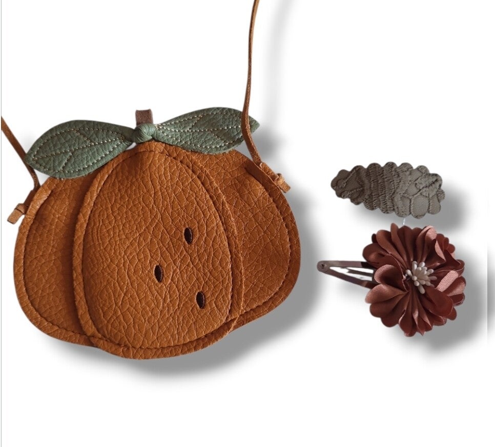 Tasje met leuke haarclipjes