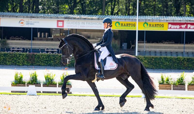 Limited Edition Judith Pietersen 