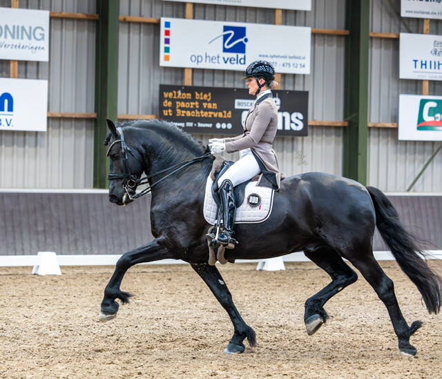 Gentleman Jack wint PSG Kader Wedstrijd Reuver