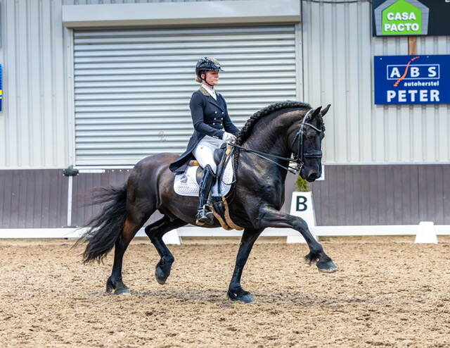 Remy Martin TKJ prachtige proef K&U 