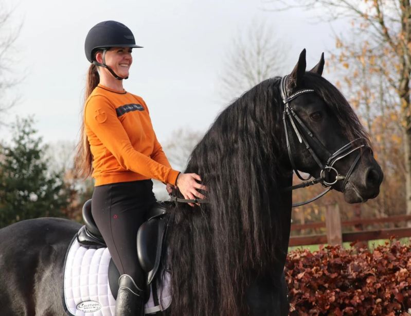 Friesian Stallion subtop dressage