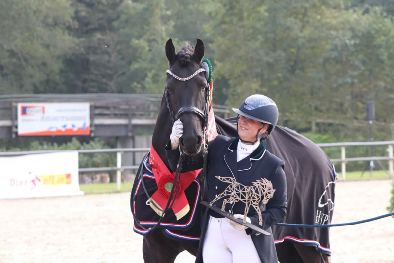 Friesian champion horses