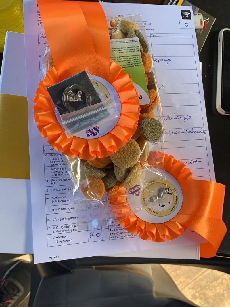 Johnny Cash TKJ Friese sport hengst