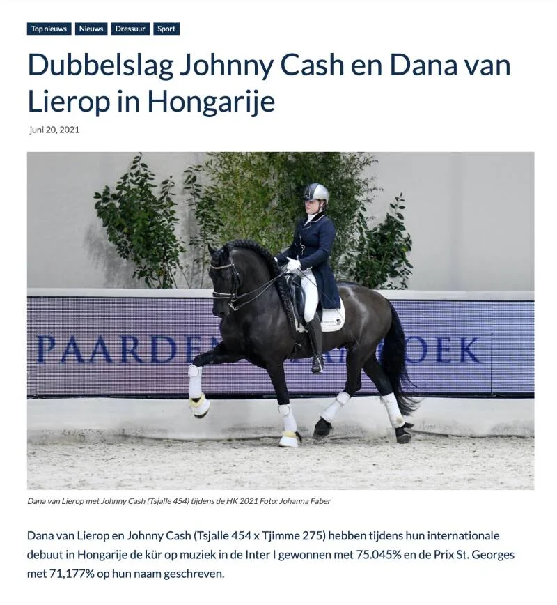 Friese hengst Johnny Cash