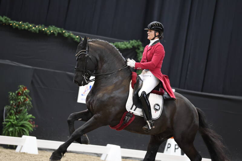 Friese hengst wint PSG IICH Groningen