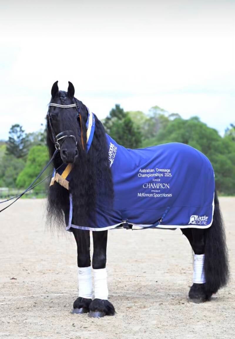 Birk van de vosjes The McKinnon Sport Horses Novice Championship 