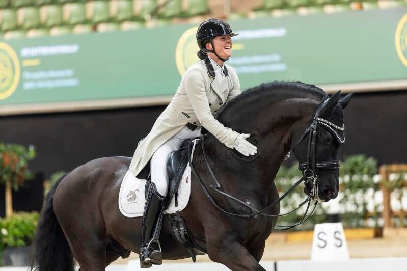 Friesian FEI dressage horse