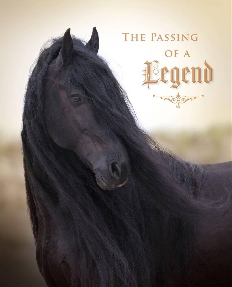 Anton 343 Kpfs Kop Jansen