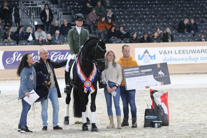 Friesian horse Champion
