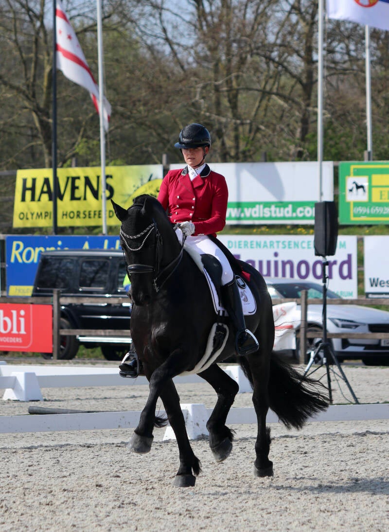 Friesian FEI dressage horse