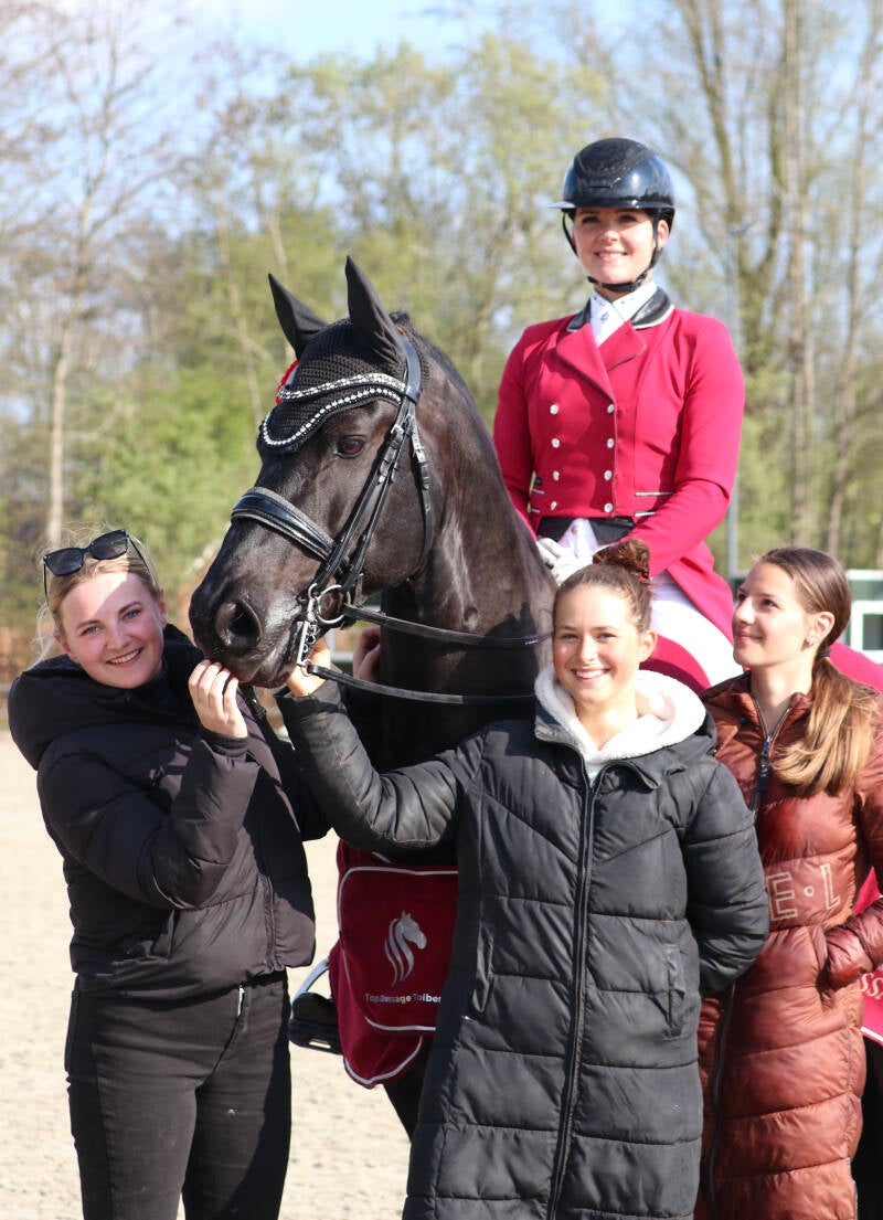 Friesian FEI dressage horse