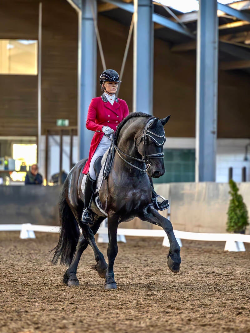 Friesian FEI dressage horse