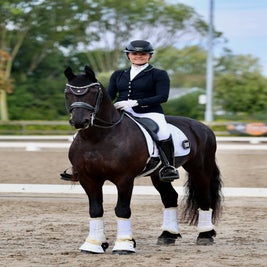 Friese ruin Dom Perignon Reserve Kampioen Z2 Dressuur 