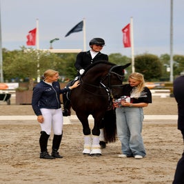 Friese ruin Dom Perignon Reserve Kampioen Z2 Dressuur 