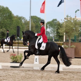 Friese hengst Gentleman Jack wint NK PSG