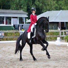 Friese hengst Gentleman Jack wint NK PSG