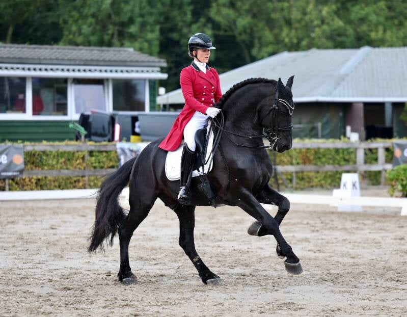 Friese hengst Gentleman Jack wint NK dressuur PSG