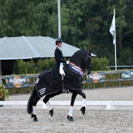 FRIESE GRAND PRIX HENGST REMY MARTIN 