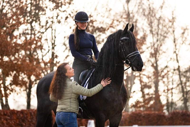 Vacature paard en werk