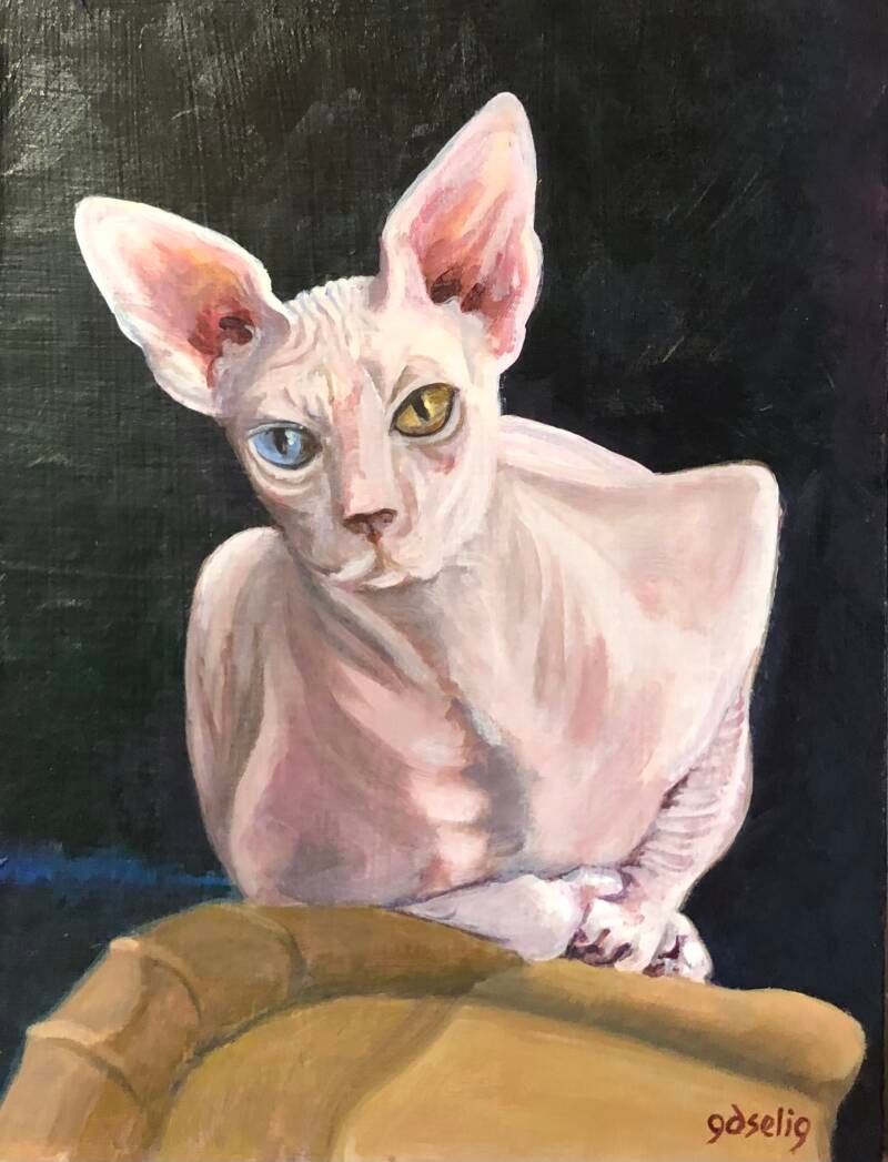 cattitude-vinny-standard-l72d0x.jpg