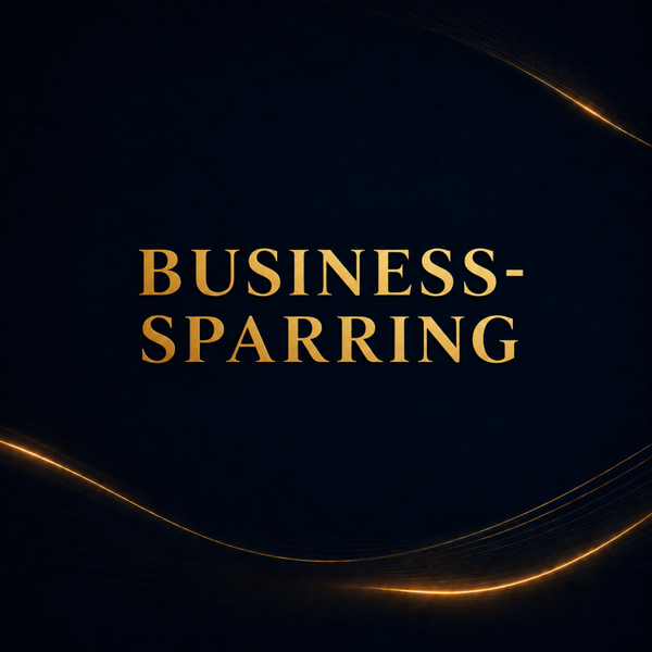 Business-Sparring