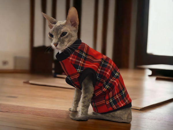Sphynx Pullover