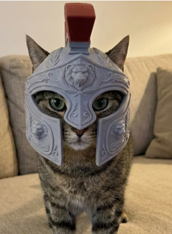 cat helm