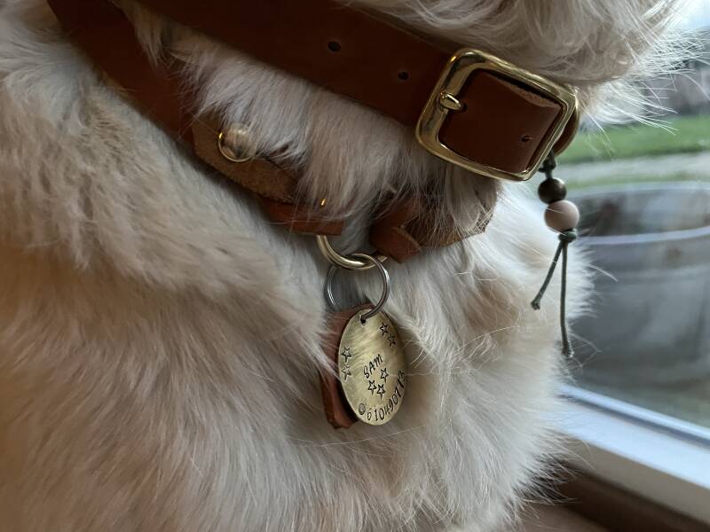 Hondenpenning met naam | DOG | hangemaakt op Texel