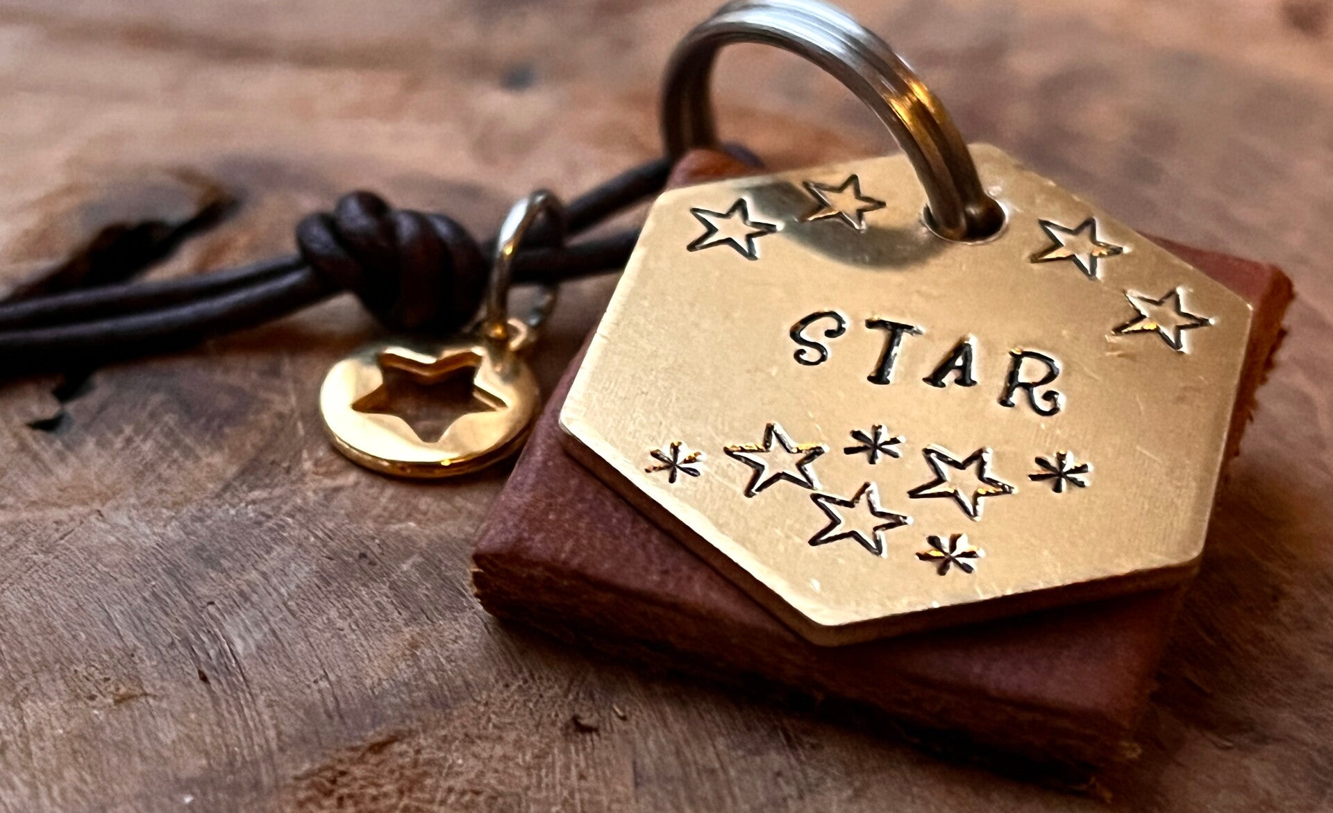 Hondenpenning messing STAR