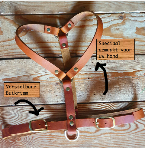 Hondentuig Leer | Eigen Ontwerp| UNDERDOGZ