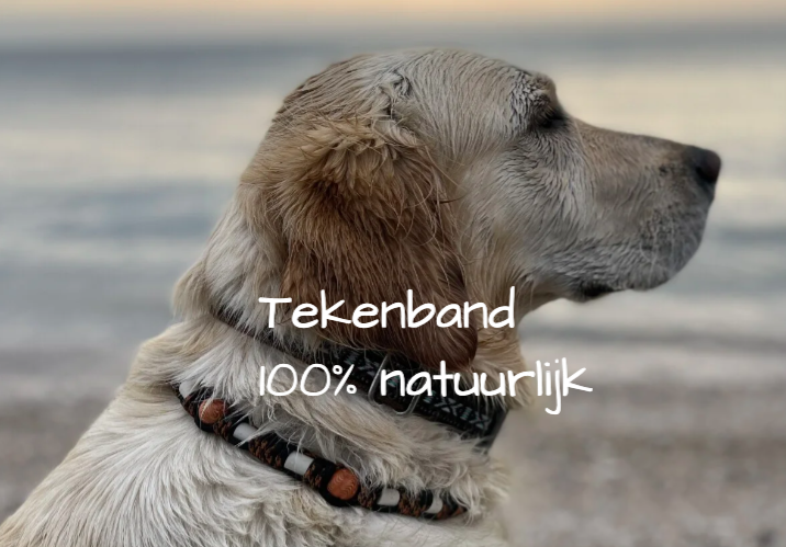 Tekenbandjes 100% natuurlijk | Underdogz