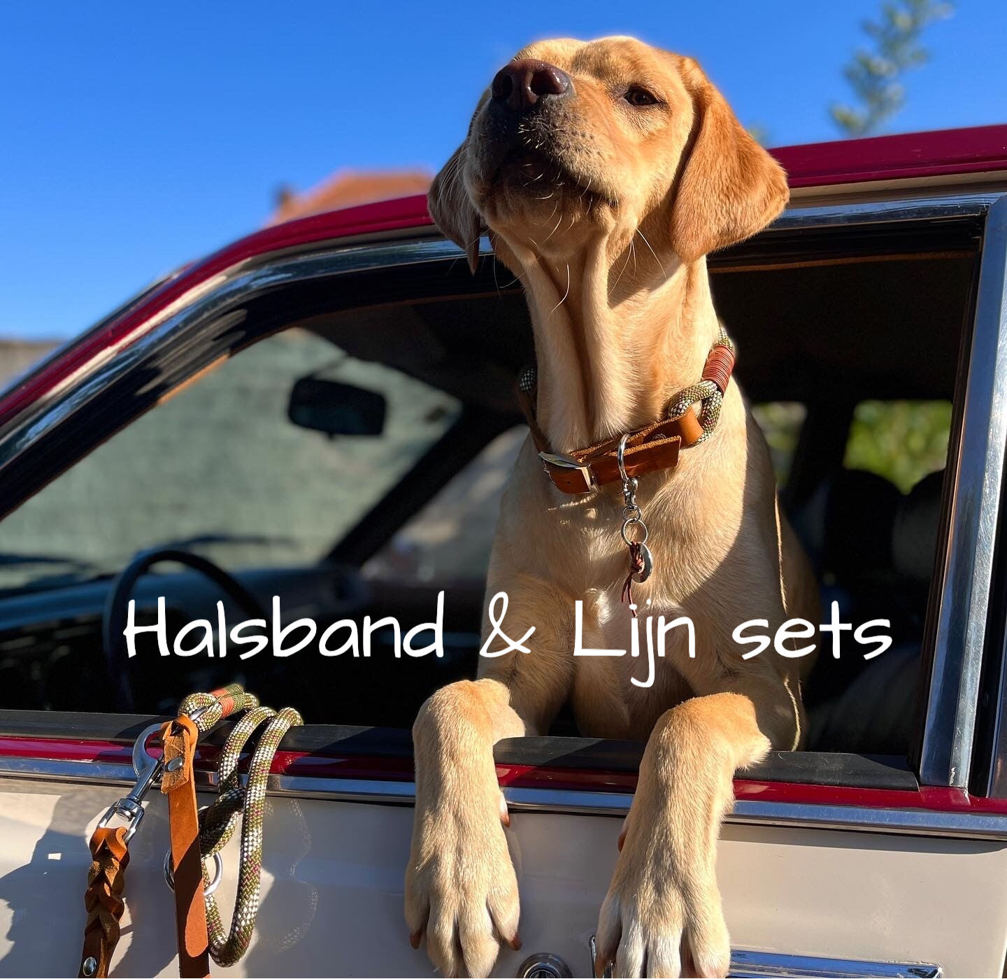 Halsband & Lijn Sets | Underdogz
