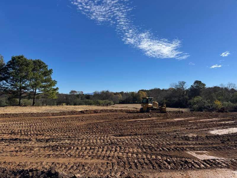 img_0203-standard.jpg