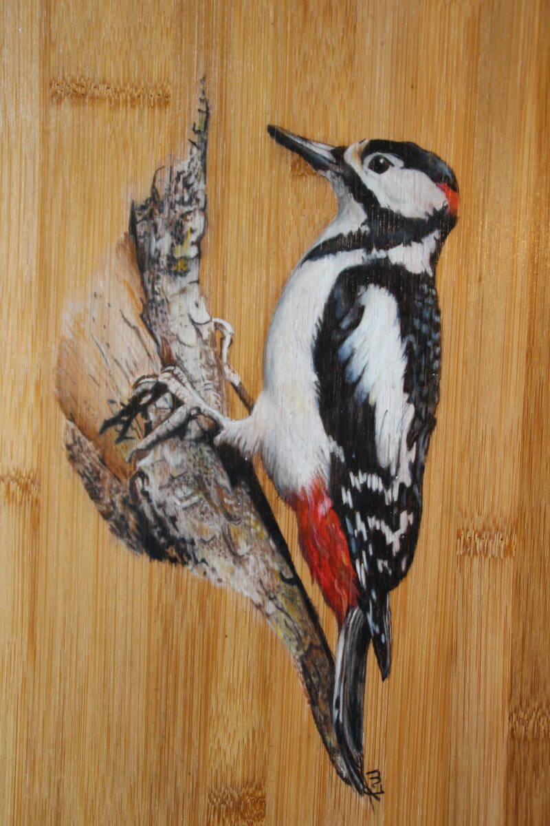 Getekende specht op een bamboe snijplank