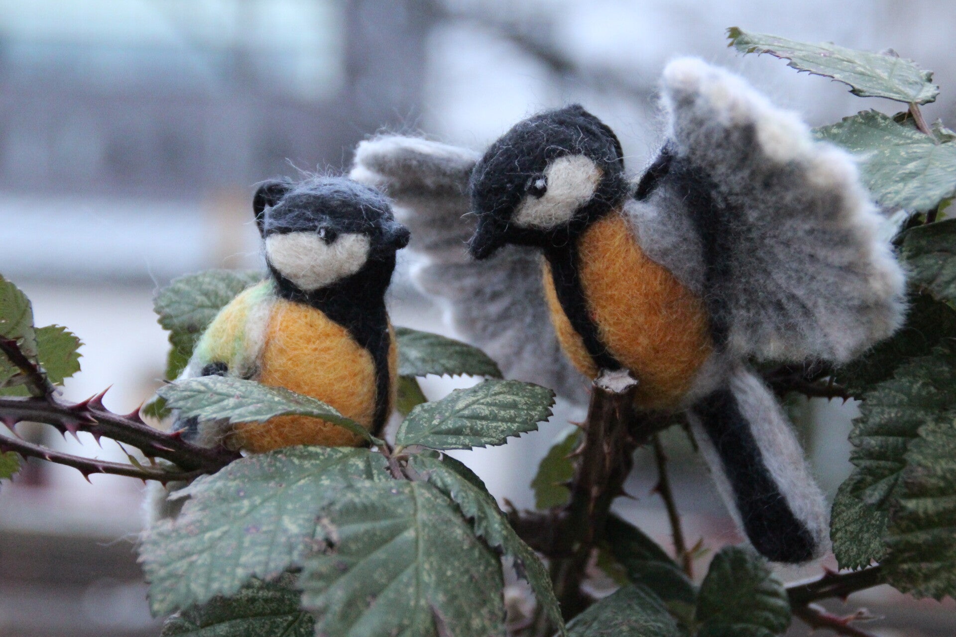 Twee gevilte vogeltjes productfoto