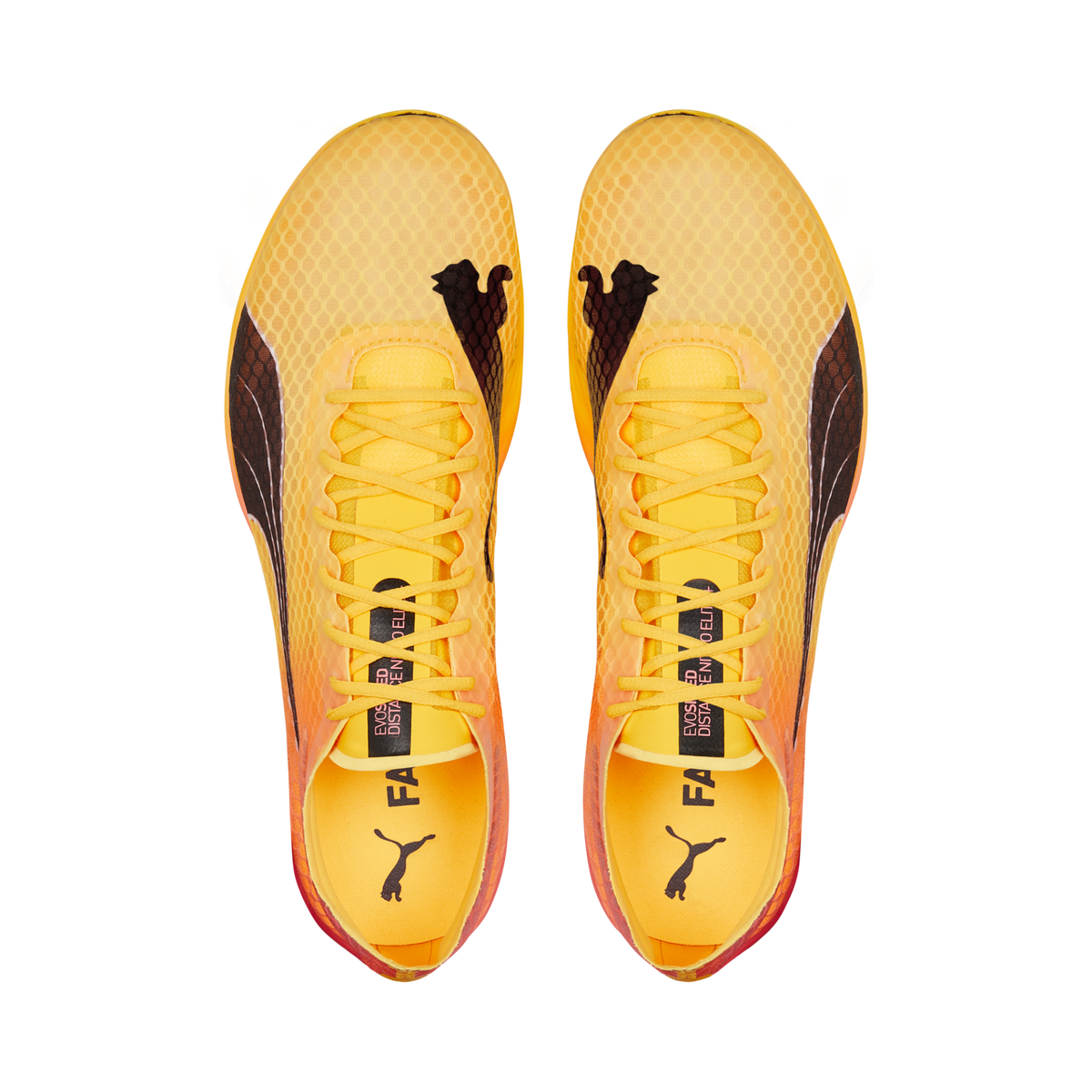 Puma evoSPEED Distance Nitro Elite+ Atletiekspikes